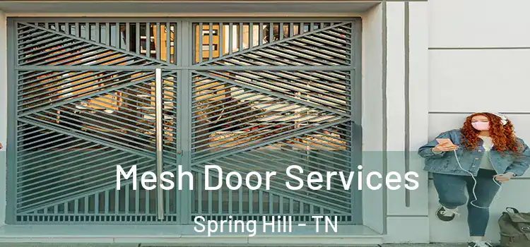 Mesh Door Services Spring Hill - TN